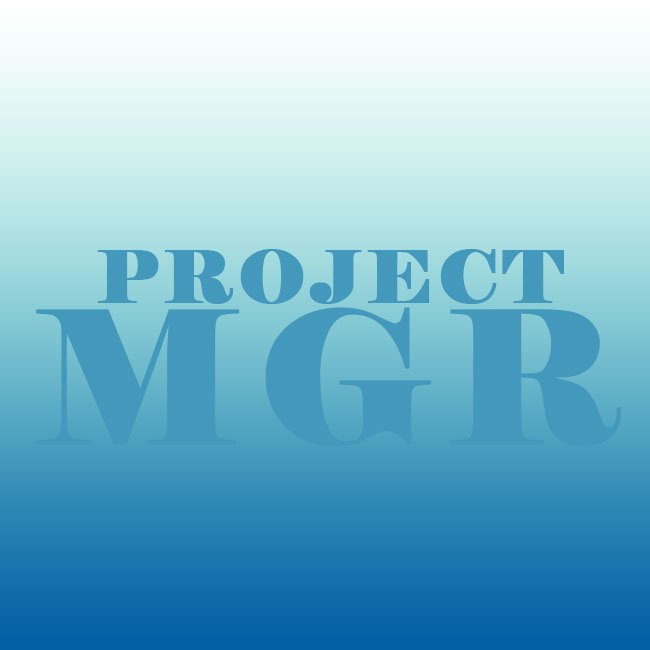 Project Manager