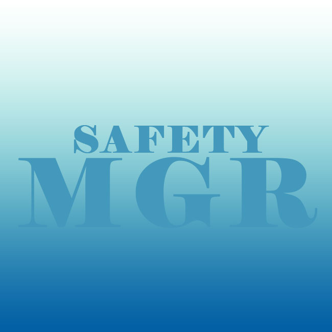 Safety Manager